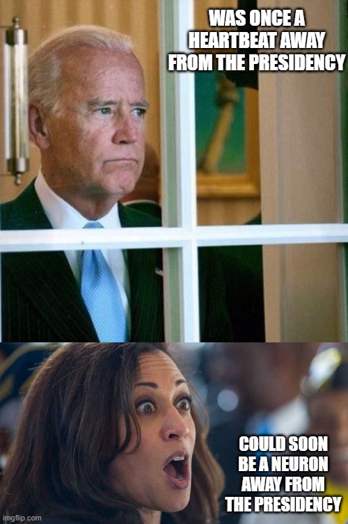 Which is worse? | WAS ONCE A HEARTBEAT AWAY FROM THE PRESIDENCY; COULD SOON BE A NEURON AWAY FROM THE PRESIDENCY | image tagged in sad joe biden,kamala harriss,election 2020,dementia,funny memes,politics | made w/ Imgflip meme maker