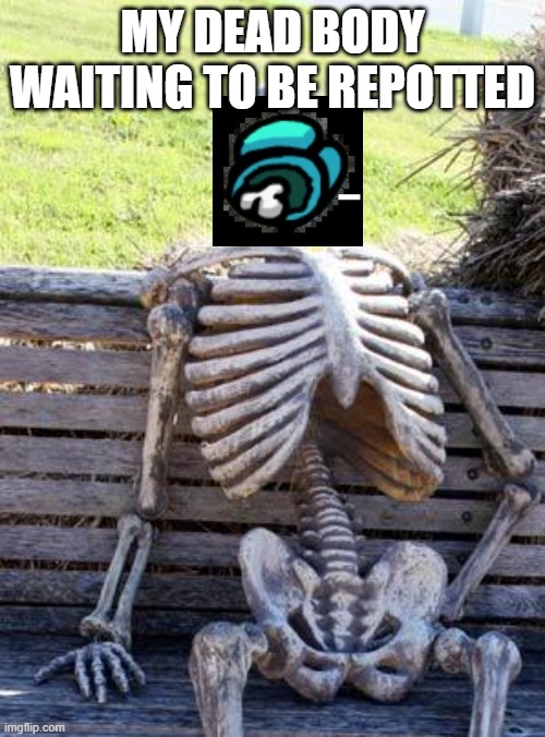 Waiting Skeleton Meme | MY DEAD BODY WAITING TO BE REPOTTED | image tagged in memes,waiting skeleton | made w/ Imgflip meme maker