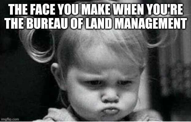 Angry baby girl | THE FACE YOU MAKE WHEN YOU'RE THE BUREAU OF LAND MANAGEMENT | image tagged in angry baby girl | made w/ Imgflip meme maker