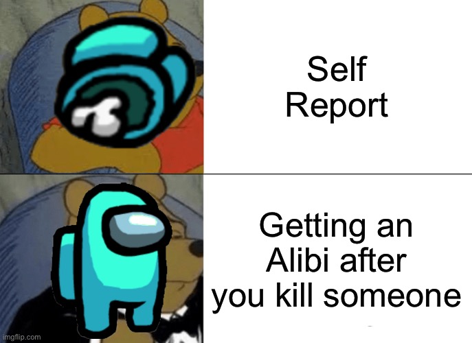 Self-report ain't good | Self Report; Getting an Alibi after you kill someone | image tagged in memes,tuxedo winnie the pooh | made w/ Imgflip meme maker
