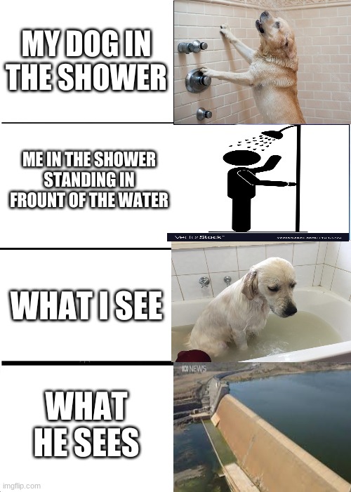 Expanding Brain | MY DOG IN THE SHOWER; ME IN THE SHOWER STANDING IN FROUNT OF THE WATER; WHAT I SEE; WHAT HE SEES | image tagged in memes,expanding brain | made w/ Imgflip meme maker