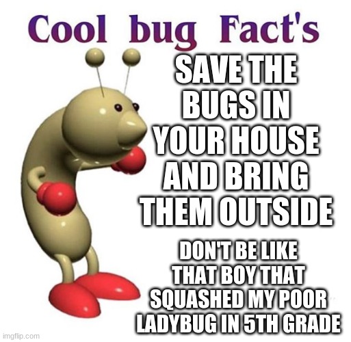 DONT KILL THEM, SAVE THEM!! | SAVE THE BUGS IN YOUR HOUSE AND BRING THEM OUTSIDE; DON'T BE LIKE THAT BOY THAT SQUASHED MY POOR LADYBUG IN 5TH GRADE | image tagged in cool bug facts | made w/ Imgflip meme maker
