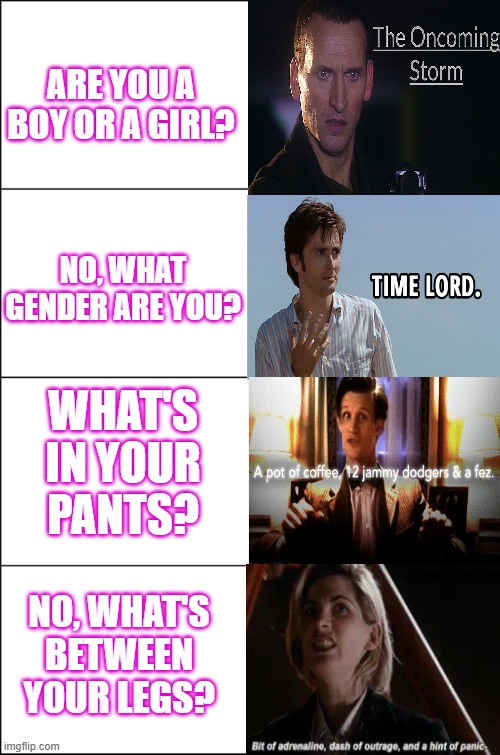 I made this Doctor Who enby one | ARE YOU A BOY OR A GIRL? NO, WHAT GENDER ARE YOU? WHAT'S IN YOUR PANTS? NO, WHAT'S BETWEEN YOUR LEGS? | image tagged in doctor who | made w/ Imgflip meme maker