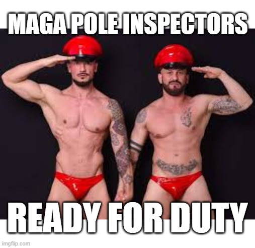 POLE INSPECTORS | MAGA POLE INSPECTORS; READY FOR DUTY | image tagged in maga,trump,election,racist,criminal,proud boys | made w/ Imgflip meme maker