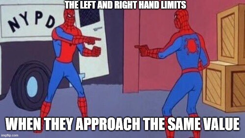 math | THE LEFT AND RIGHT HAND LIMITS; WHEN THEY APPROACH THE SAME VALUE | image tagged in spiderman pointing at spiderman | made w/ Imgflip meme maker