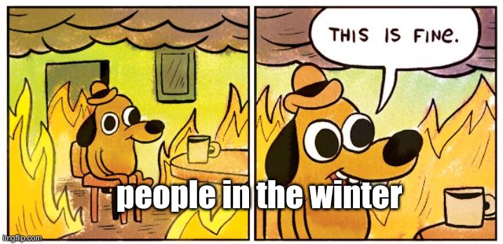 This Is Fine Meme | people in the winter | image tagged in memes,this is fine | made w/ Imgflip meme maker