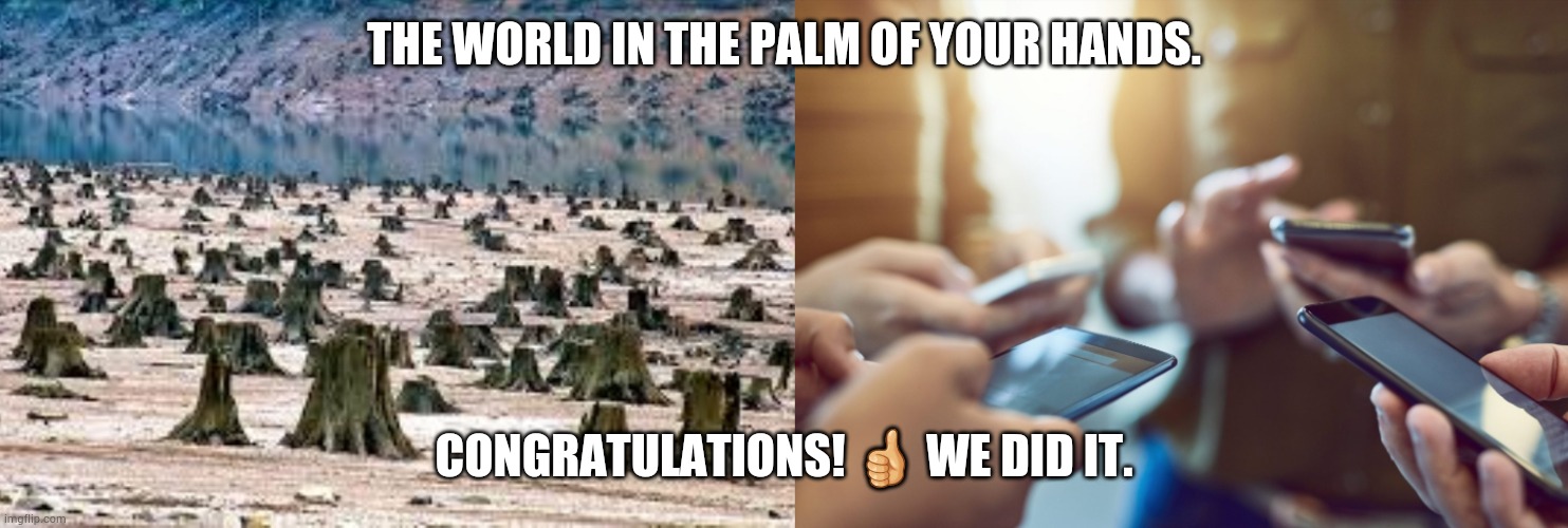 The peak of human intelligence. | THE WORLD IN THE PALM OF YOUR HANDS. CONGRATULATIONS! 👍 WE DID IT. | image tagged in the future world if,stupid people be like,morons | made w/ Imgflip meme maker