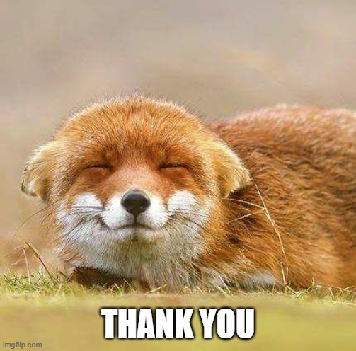 Happy Fox | THANK YOU | image tagged in happy fox | made w/ Imgflip meme maker
