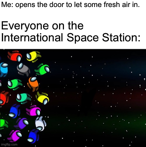 Astronaut was not the Imposter | Me: opens the door to let some fresh air in. Everyone on the International Space Station: | image tagged in among us,memes,space | made w/ Imgflip meme maker