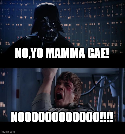 Star Wars No Meme | NO,YO MAMMA GAE! NOOOOOOOOOOOO!!!! | image tagged in memes,star wars no | made w/ Imgflip meme maker