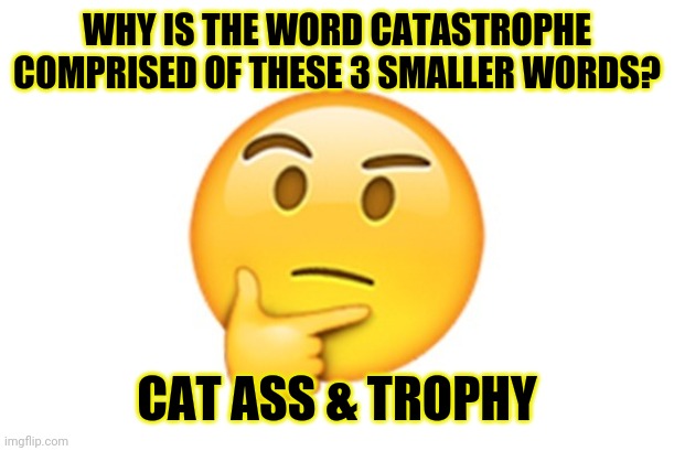 catastrophe | WHY IS THE WORD CATASTROPHE COMPRISED OF THESE 3 SMALLER WORDS? CAT ASS & TROPHY | image tagged in thinking emoji,funny,meme,memes,funny memes,funny meme | made w/ Imgflip meme maker