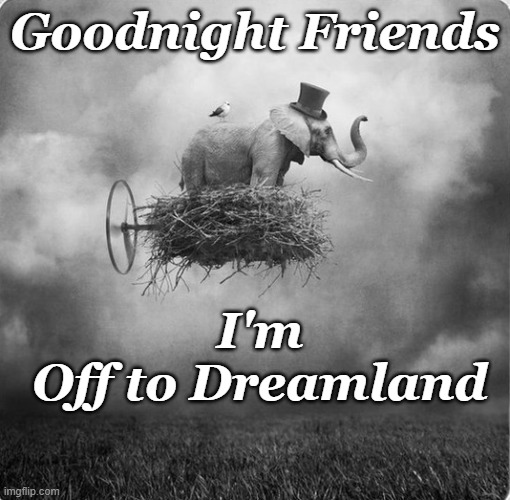 Dream | Goodnight Friends; I'm
Off to Dreamland | image tagged in dreamland,elephant | made w/ Imgflip meme maker