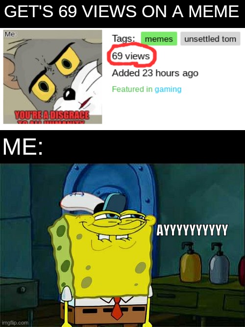 Don't You Squidward | GET'S 69 VIEWS ON A MEME; ME:; AYYYYYYYYYY | image tagged in memes,don't you squidward | made w/ Imgflip meme maker