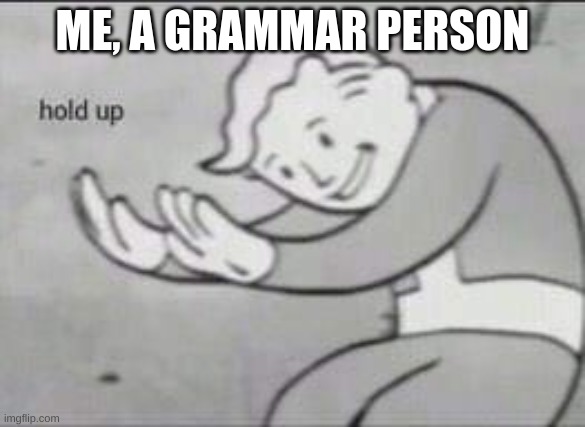 Fallout Hold Up | ME, A GRAMMAR PERSON | image tagged in fallout hold up | made w/ Imgflip meme maker