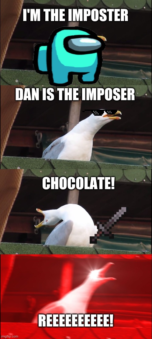 the evolution of seagulls | I'M THE IMPOSTER; DAN IS THE IMPOSER; CHOCOLATE! REEEEEEEEEE! | image tagged in memes,inhaling seagull | made w/ Imgflip meme maker