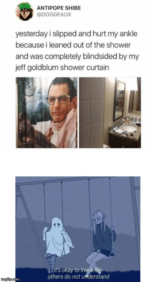 I need that curtain... | image tagged in it's okay to live a life others do not understand,funny memes,memes,funny,jeff goldblum | made w/ Imgflip meme maker