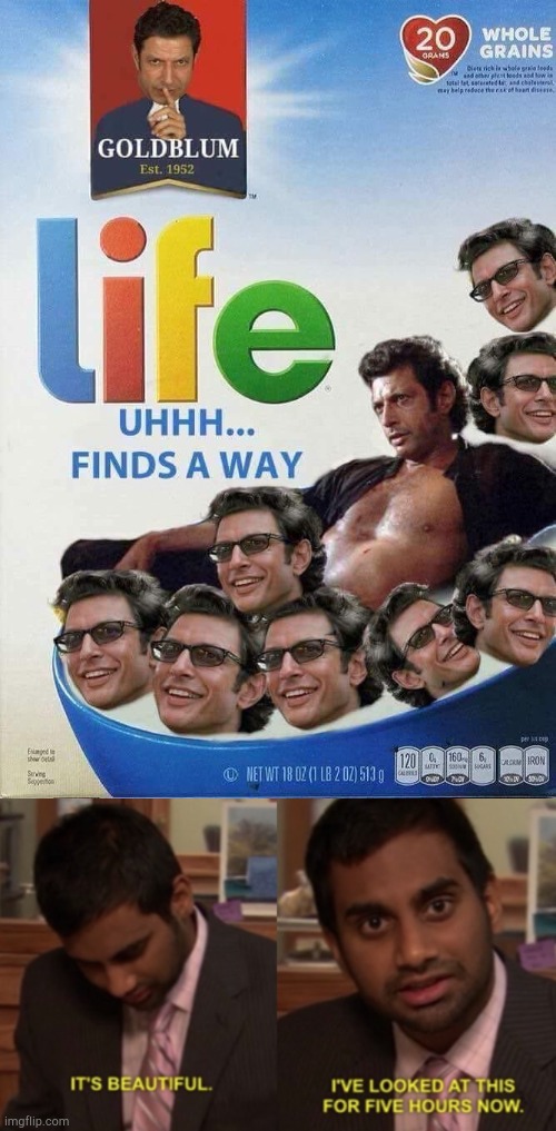Life uhh finds a way | image tagged in i've looked at this for 5 hours now,funny,memes,jeff goldblum | made w/ Imgflip meme maker