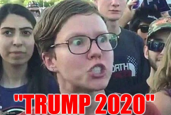 If you could see your faces | "TRUMP 2020" | image tagged in super_triggered,trump for jail,trumpster fire,meltdown 2020,raging bullshit,bye felicia | made w/ Imgflip meme maker