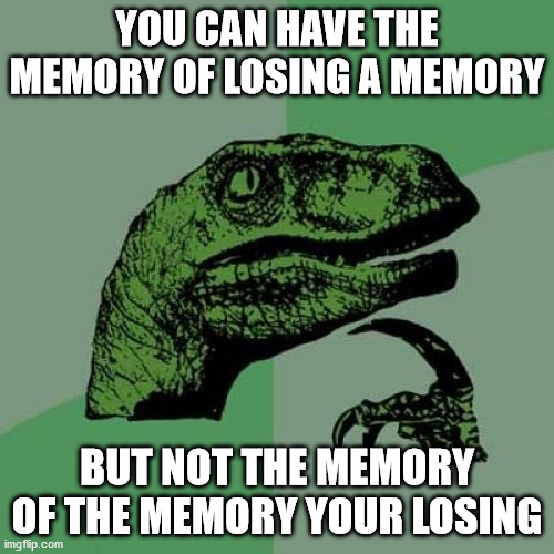 memento mori | YOU CAN HAVE THE MEMORY OF LOSING A MEMORY; BUT NOT THE MEMORY OF THE MEMORY YOUR LOSING | image tagged in memes,philosoraptor | made w/ Imgflip meme maker