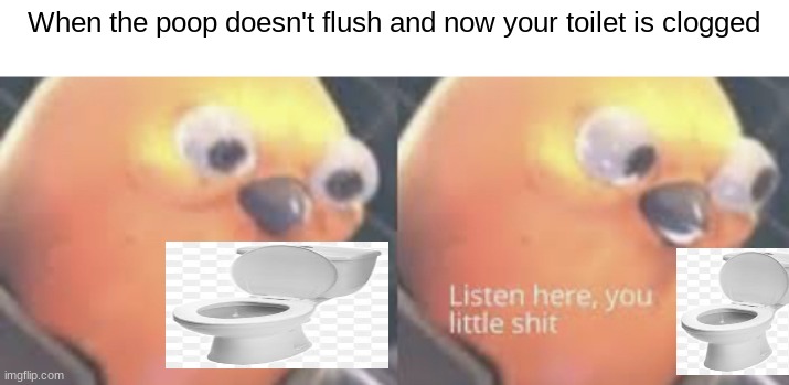 *Spams the flush* | When the poop doesn't flush and now your toilet is clogged | image tagged in listen here you little shit bird | made w/ Imgflip meme maker