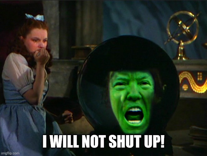 Wicked Witch Debates | I WILL NOT SHUT UP! | image tagged in trump,biden,wizard of oz,dorthy,witch | made w/ Imgflip meme maker