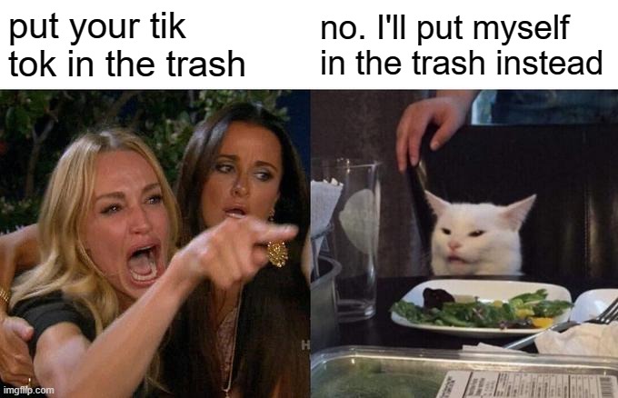 Woman Yelling At Cat Meme | put your tik tok in the trash no. I'll put myself in the trash instead | image tagged in memes,woman yelling at cat | made w/ Imgflip meme maker