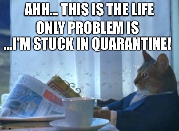 Quarantine sucks... here's why! | AHH... THIS IS THE LIFE; ONLY PROBLEM IS ...I'M STUCK IN QUARANTINE! | image tagged in memes,i should buy a boat cat | made w/ Imgflip meme maker