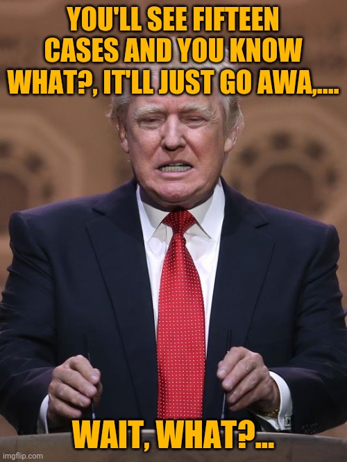 I don't expect much support for this but, BWA HA HA HA HA HA HA!!! | YOU'LL SEE FIFTEEN CASES AND YOU KNOW WHAT?, IT'LL JUST GO AWA,.... WAIT, WHAT?... | image tagged in donald trump,dump trump,sewmyeyesshut,funny,memes,bwa ha ha ha | made w/ Imgflip meme maker