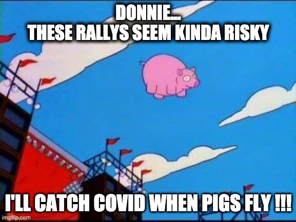 Tempt fate much ? | DONNIE...
THESE RALLYS SEEM KINDA RISKY; I'LL CATCH COVID WHEN PIGS FLY !!! | image tagged in funny,memes,covid-19,the simpsons,trump,pigs fly | made w/ Imgflip meme maker