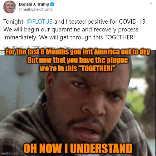 Hopeful for speedy recoveries of all affected, but also this: | For the last 8 Months you left America out to dry
But now that you have the plague
we're in this "TOGETHER!"; OH NOW I UNDERSTAND | image tagged in oh now i understand,memes,together,covid-19,trump | made w/ Imgflip meme maker