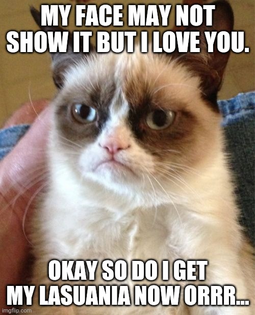 Grumpy Cat | MY FACE MAY NOT SHOW IT BUT I LOVE YOU. OKAY SO DO I GET MY LASUANIA NOW ORRR... | image tagged in memes,grumpy cat | made w/ Imgflip meme maker