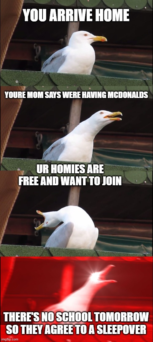 Inhaling Seagull | YOU ARRIVE HOME; YOURE MOM SAYS WERE HAVING MCDONALDS; UR HOMIES ARE FREE AND WANT TO JOIN; THERE'S NO SCHOOL TOMORROW SO THEY AGREE TO A SLEEPOVER | image tagged in memes,inhaling seagull | made w/ Imgflip meme maker