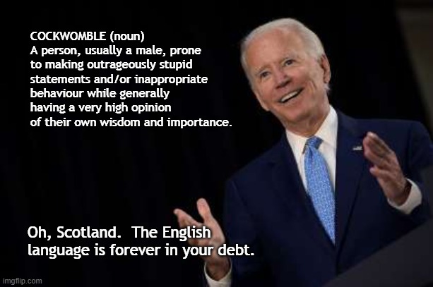 Cockwomble | COCKWOMBLE (noun)
A person, usually a male, prone to making outrageously stupid statements and/or inappropriate behaviour while generally having a very high opinion of their own wisdom and importance. Oh, Scotland.  The English language is forever in your debt. | image tagged in joe biden | made w/ Imgflip meme maker
