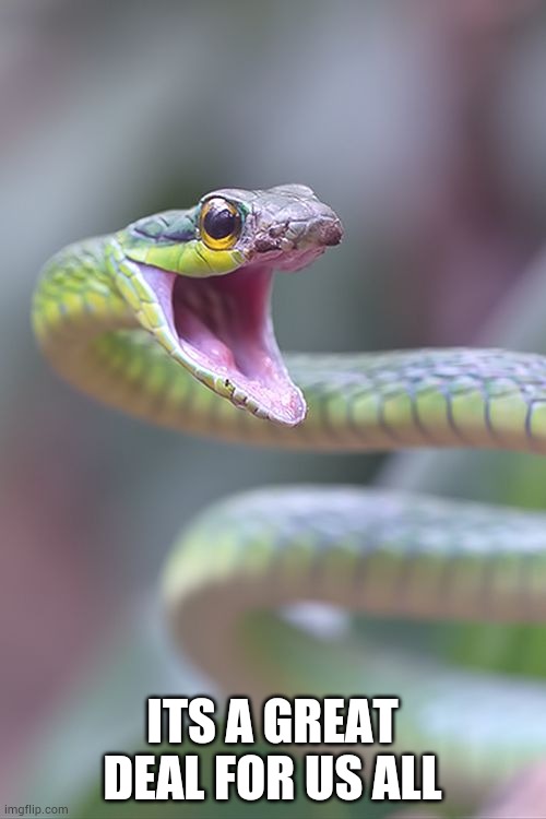 shocked snek | ITS A GREAT DEAL FOR US ALL | image tagged in shocked snek | made w/ Imgflip meme maker