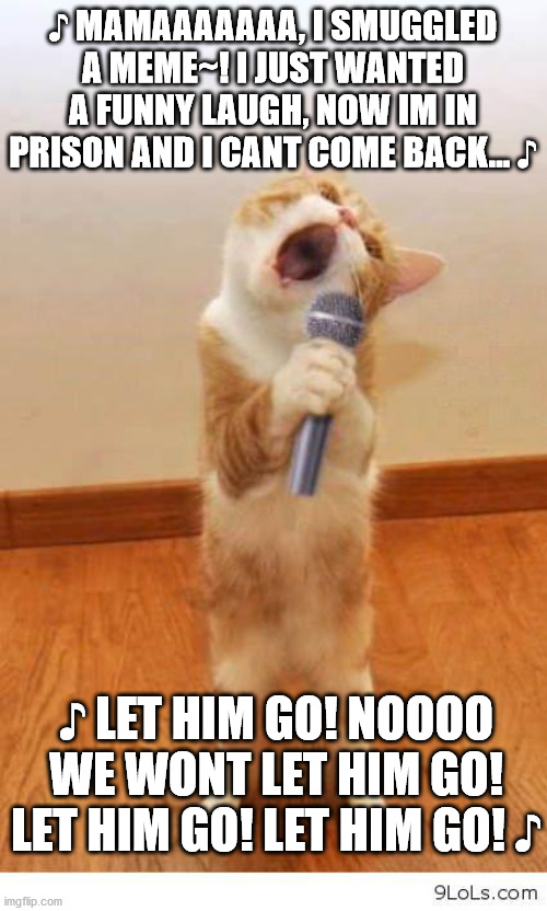 ♪ MAMAAAAAAA, I SMUGGLED A MEME~! I JUST WANTED A FUNNY LAUGH, NOW IM IN PRISON AND I CANT COME BACK... ♪ ♪ LET HIM GO! NOOOO WE WONT LET HI | image tagged in cat singer | made w/ Imgflip meme maker