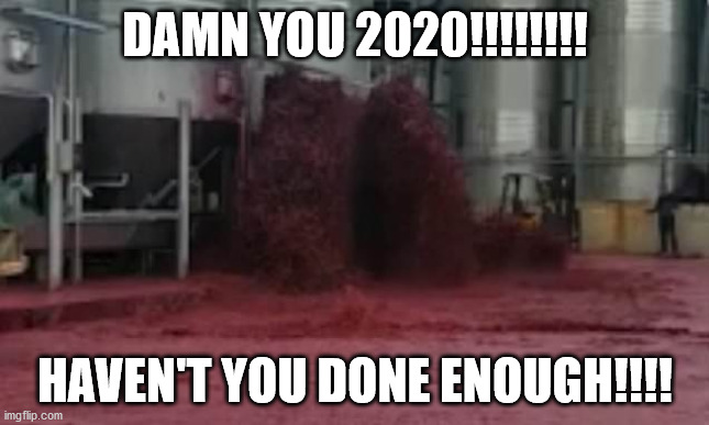 WINE MEME | DAMN YOU 2020!!!!!!!! HAVEN'T YOU DONE ENOUGH!!!! | image tagged in red wine | made w/ Imgflip meme maker