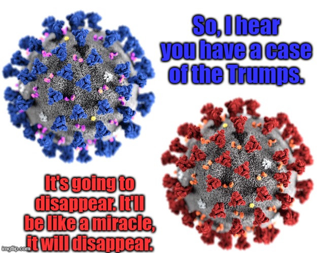 It's like a Miracle | So, I hear you have a case of the Trumps. It's going to disappear. It'll be like a miracle, it will disappear. | image tagged in blue red covid virus,trump,covid19,miracle | made w/ Imgflip meme maker