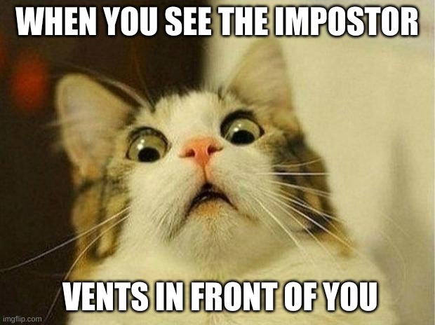 cat sus | WHEN YOU SEE THE IMPOSTOR; VENTS IN FRONT OF YOU | image tagged in memes,scared cat | made w/ Imgflip meme maker