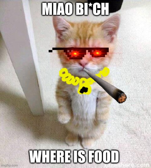 I m hungy | MIAO BI*CH; WHERE IS FOOD | image tagged in memes,cute cat | made w/ Imgflip meme maker