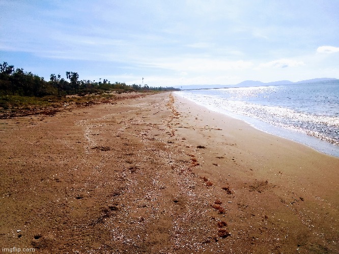 Looks like it's a beach day to me | made w/ Imgflip meme maker