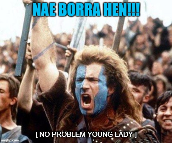 braveheart freedom | NAE BORRA HEN!!! [ NO PROBLEM YOUNG LADY ] | image tagged in braveheart freedom | made w/ Imgflip meme maker