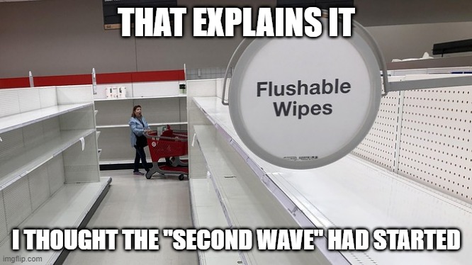 THAT EXPLAINS IT I THOUGHT THE "SECOND WAVE" HAD STARTED | made w/ Imgflip meme maker