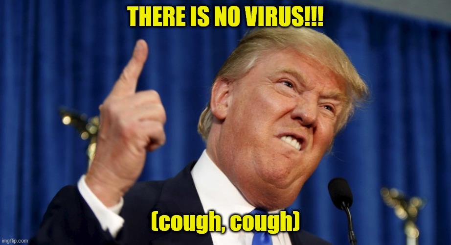 Angry trump | THERE IS NO VIRUS!!! (cough, cough) | image tagged in angry trump | made w/ Imgflip meme maker