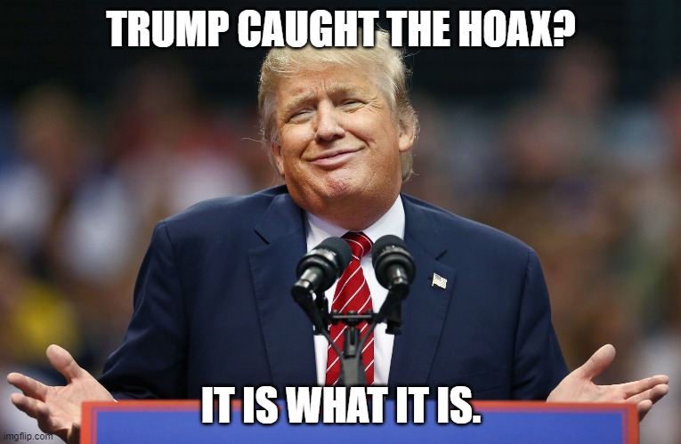 Trump Shrug | TRUMP CAUGHT THE HOAX? IT IS WHAT IT IS. | image tagged in trump shrug | made w/ Imgflip meme maker