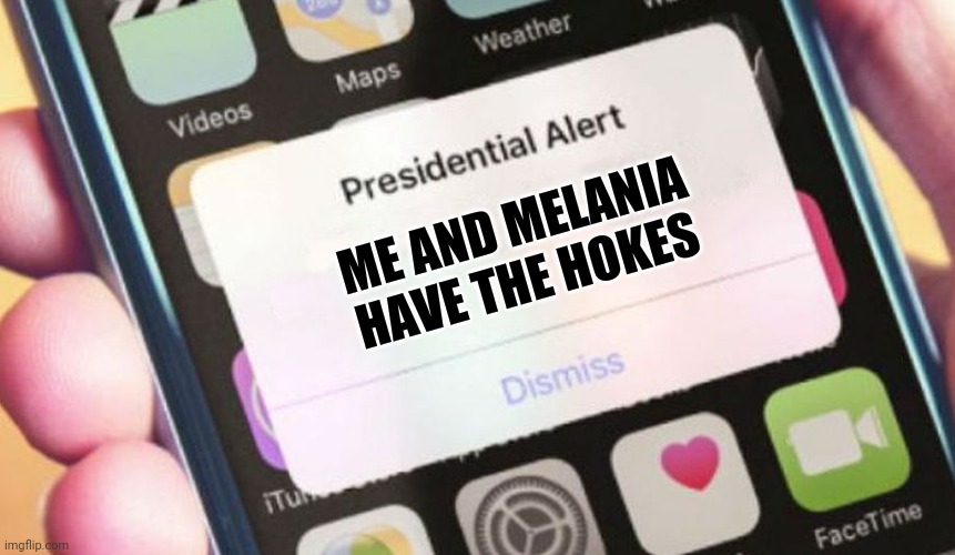 Presidential Alert | ME AND MELANIA HAVE THE HOKES | image tagged in memes,presidential alert | made w/ Imgflip meme maker