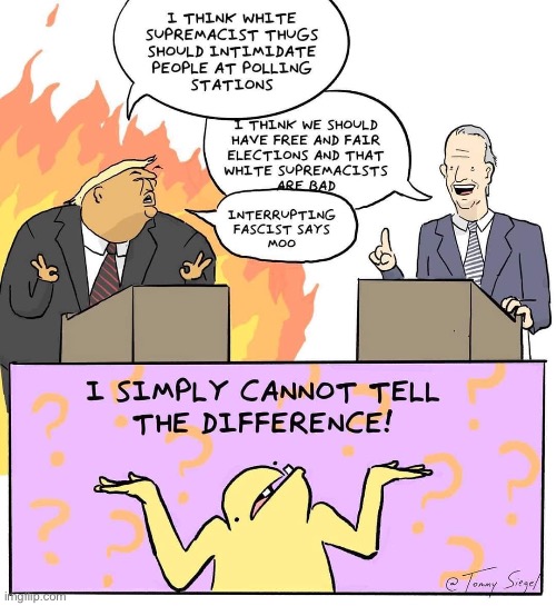 When centrists, libertarians, Greens, etc. can’t tell the difference. | image tagged in 2020 presidential debate i simply cannot tell the difference,presidential debate,debate,debates,repost,comics/cartoons | made w/ Imgflip meme maker