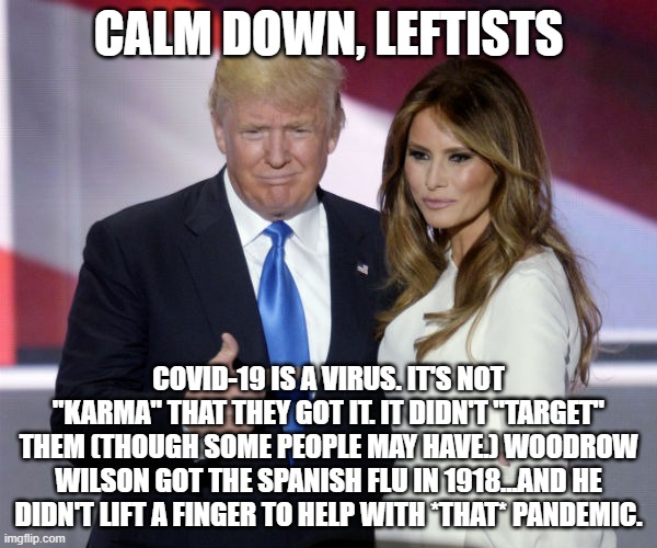 They Odds Are Pretty Good That They'll Be Just Fine... | CALM DOWN, LEFTISTS; COVID-19 IS A VIRUS. IT'S NOT "KARMA" THAT THEY GOT IT. IT DIDN'T "TARGET" THEM (THOUGH SOME PEOPLE MAY HAVE.) WOODROW WILSON GOT THE SPANISH FLU IN 1918...AND HE DIDN'T LIFT A FINGER TO HELP WITH *THAT* PANDEMIC. | image tagged in trump melania pointing,covidiots,leftists can't science | made w/ Imgflip meme maker