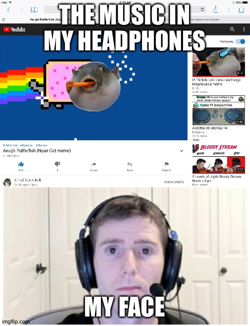 Aeugh | THE MUSIC IN MY HEADPHONES; MY FACE | image tagged in linus,nyan cat | made w/ Imgflip meme maker