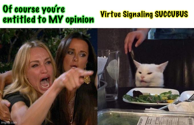 Woman Yelling At Cat | Of course you’re entitled to MY opinion; Virtue Signaling SUCCUBUS | image tagged in memes,woman yelling at cat | made w/ Imgflip meme maker