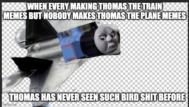 WHEN EVERY MAKING THOMAS THE TRAIN MEMES BUT NOBODY MAKES THOMAS THE PLANE MEMES; THOMAS HAS NEVER SEEN SUCH BIRD SHIT BEFORE | image tagged in thomas had never seen such bullshit before | made w/ Imgflip meme maker